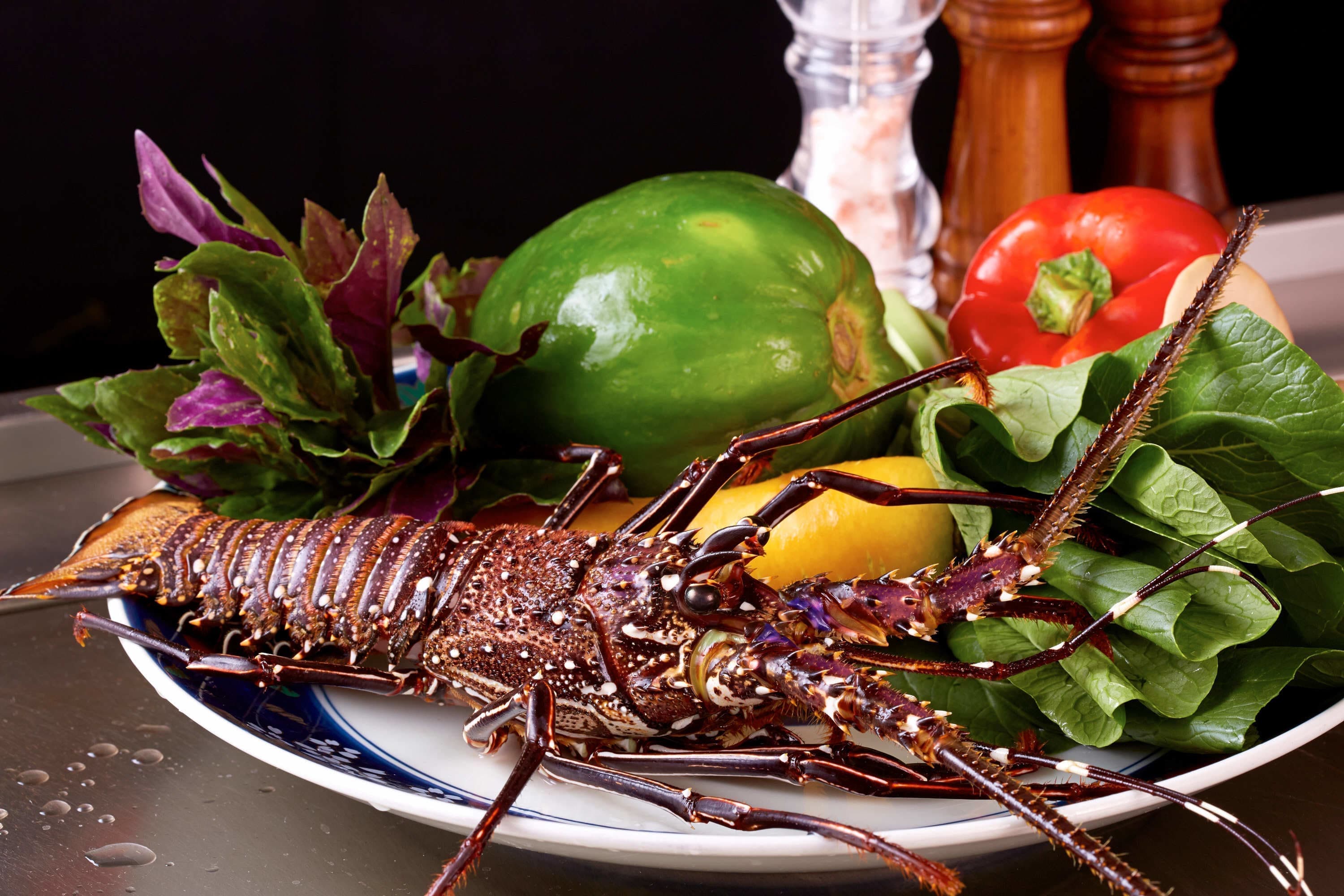 飲食店　撮影イメージ