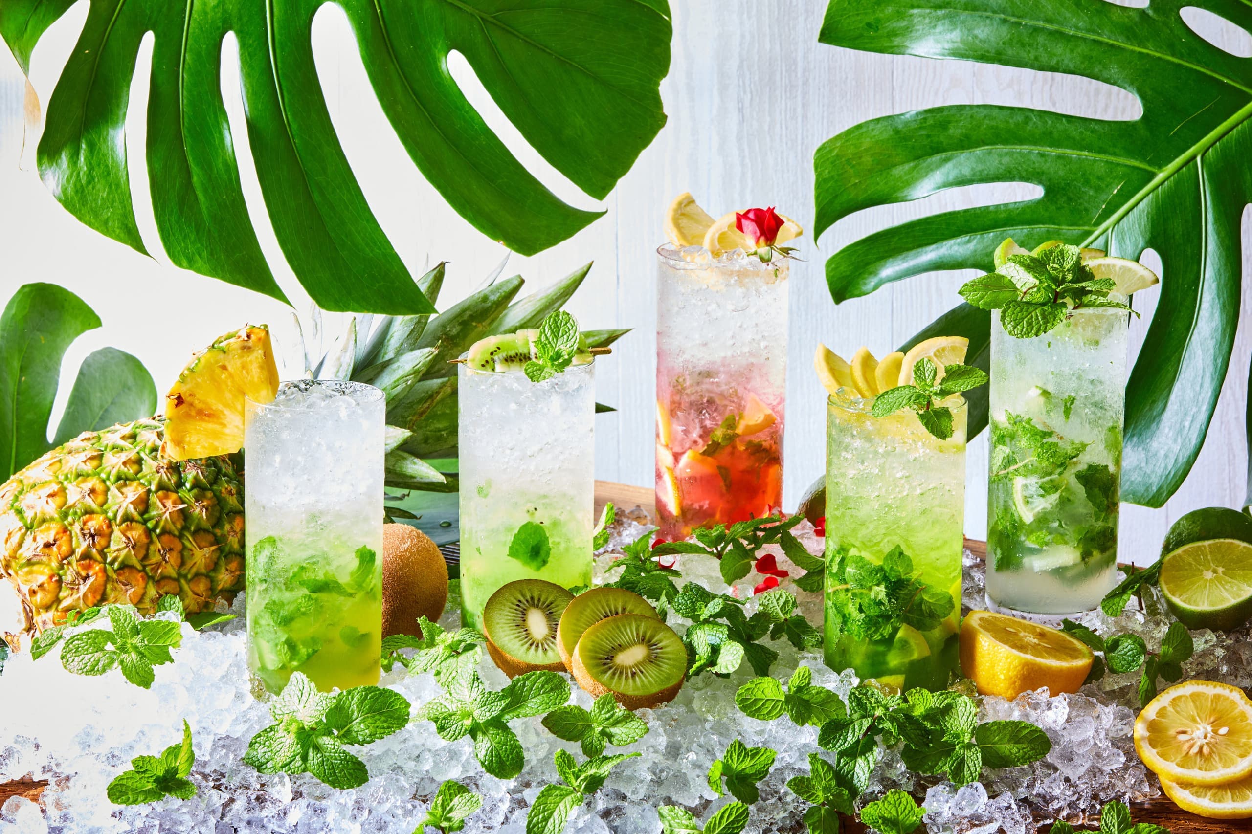 飲食店　撮影イメージ